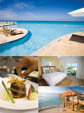 bimini insert